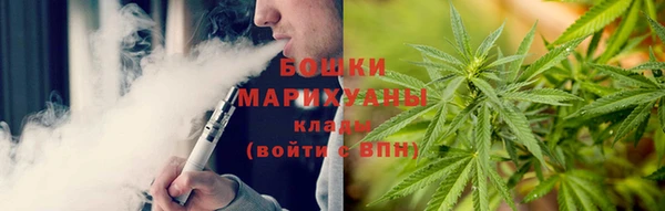 гидропоника Алзамай
