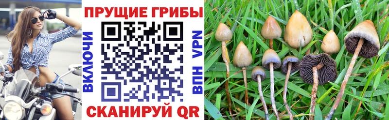 как найти закладки  Кимры  hydra зеркало  Псилоцибиновые грибы мицелий 