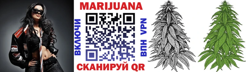 shop телеграм  Кимры  МАРИХУАНА SATIVA & INDICA  купить  сайты 